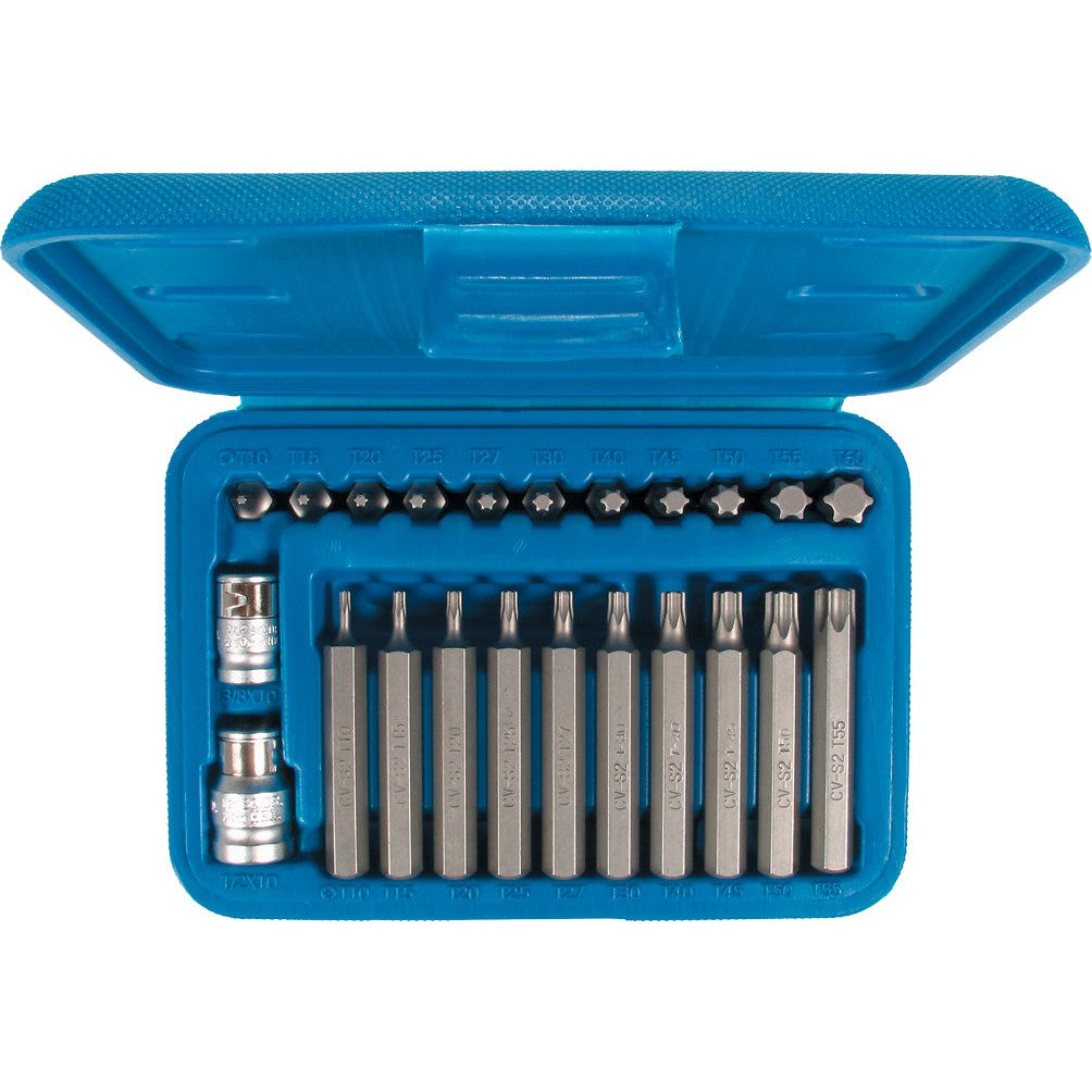 Schraubendreher Satz T10-T55 T-PROFIL 3/8 ½-Anrieb mit Adapter 22-tlg.
