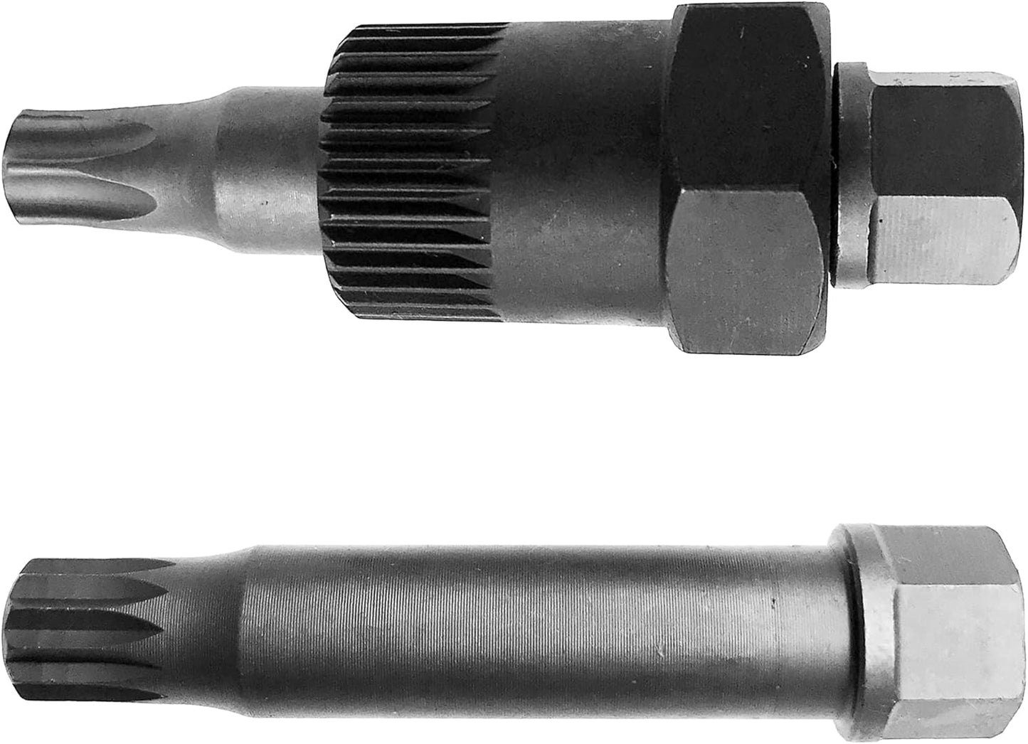 Lichtmaschinen Nuss Set Werkzeug VIELZAHN TORX T50 XZN M10 Generator Freilauf
